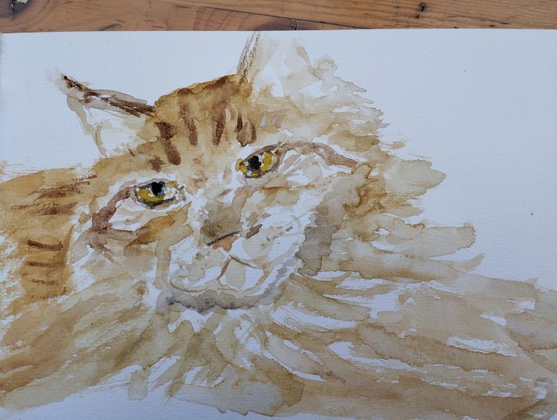 Aquarelle d'un chat roux au regard triste