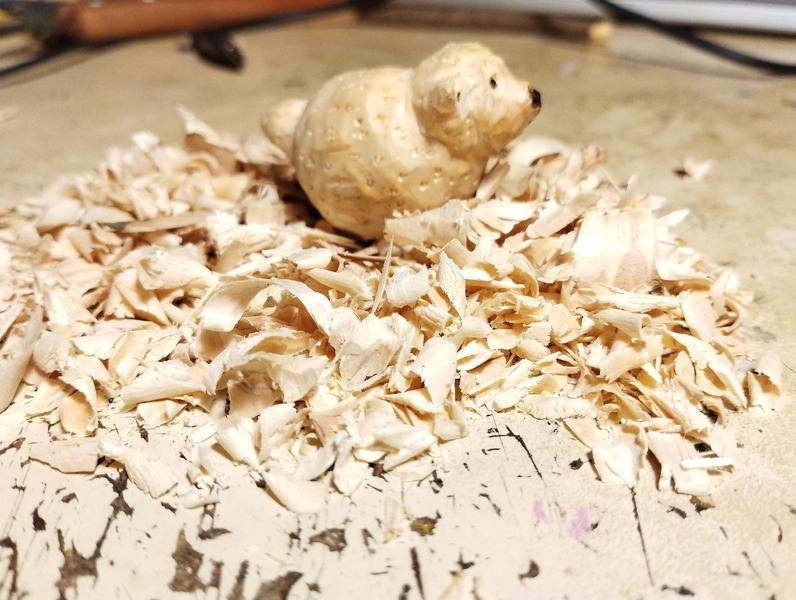 Vue de profil du mouton chien 
