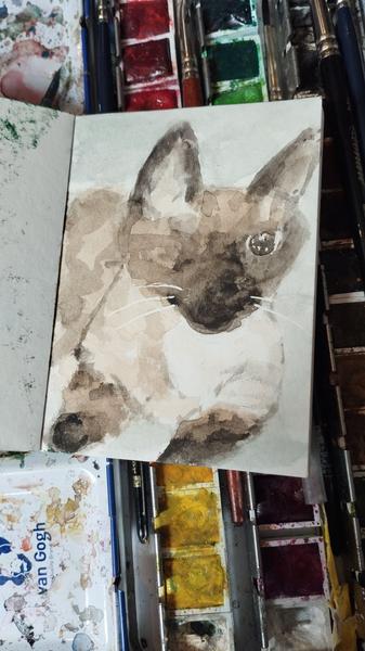 Petite aquarelle de la siamoises