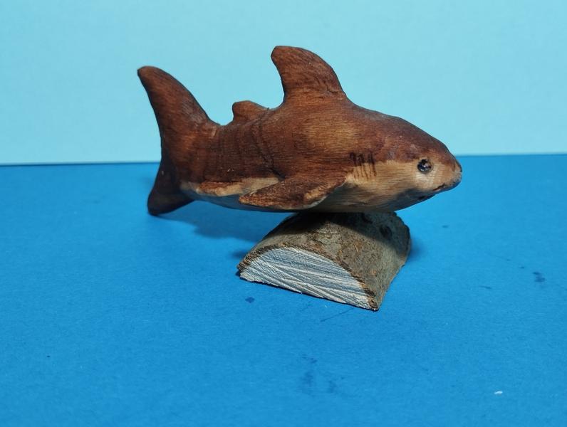 Un requin en bois 
