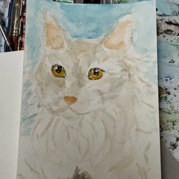 Aquarelle d'un Maine coon beige 
