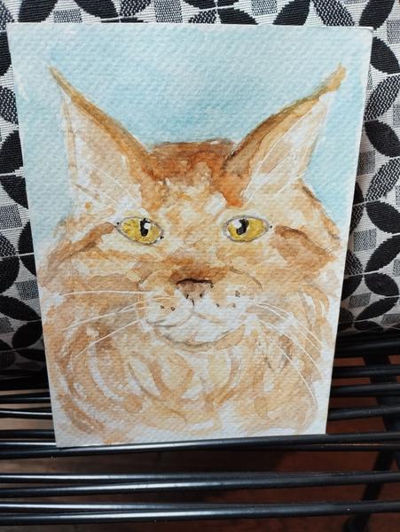 Aquarelle d'un Maine coon roux qui louche 