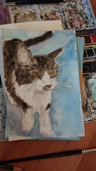Aquarelle d'un chat tigré et blanc