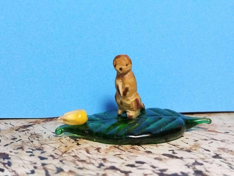 Autre profil du suricate
