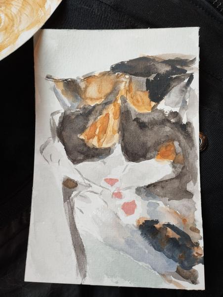Aquarelle de Nola qui dort sur ses pattes 