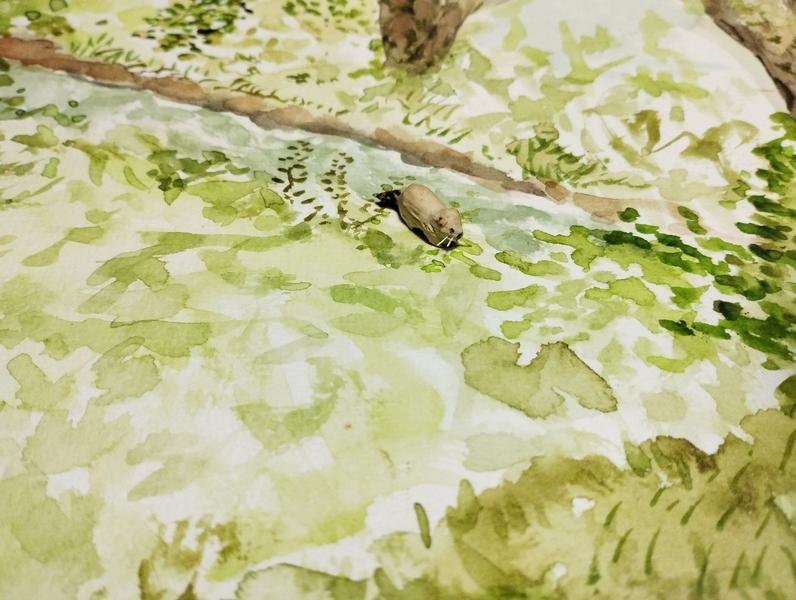 autre vue, avec un angle plus large sur l'aquarelle