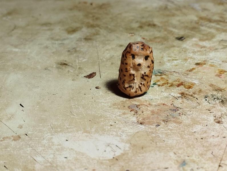 Un petit hérisson en bois