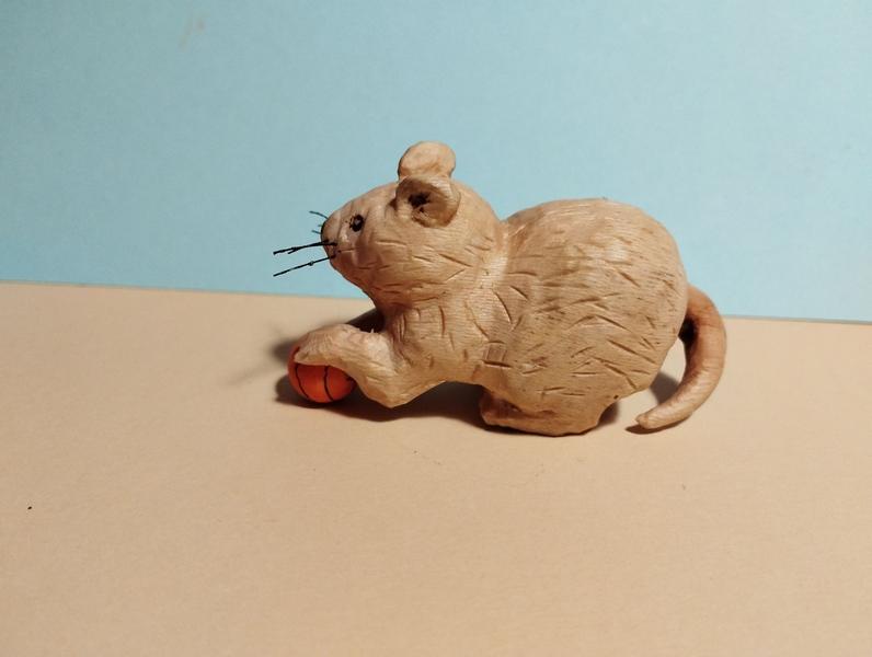 autre vue du rat
