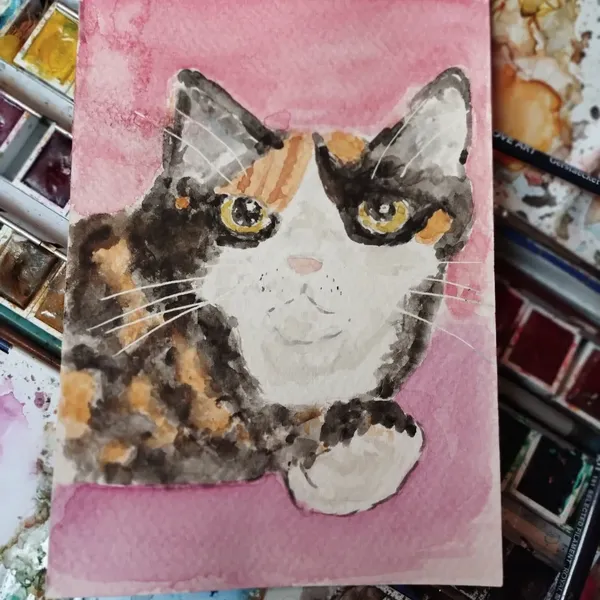 Aquarelle de Nola, chatte tricolore. Elle replie sa patte avant chaussette blanche 