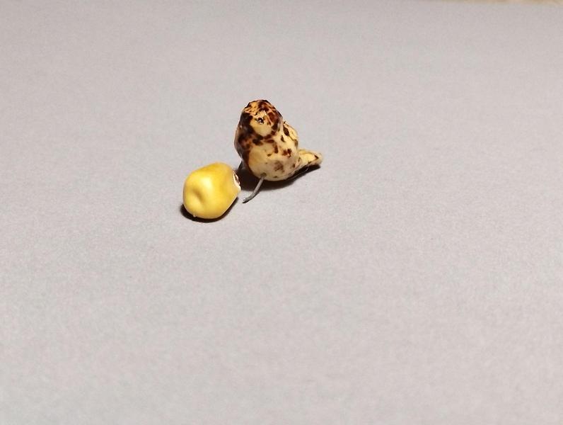 Une petite mésange en bois, pattes en métal. Elle est assise à côté d'un grain de maïs un peu plus gros que sa tête