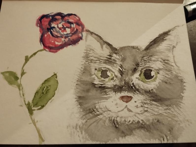 Aquarelle d'un chat gris et d'une rose 