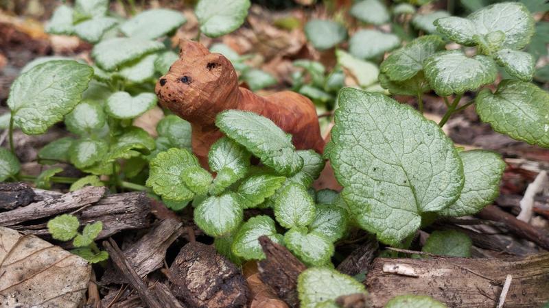Le chat à l'affût au milieu de plantes