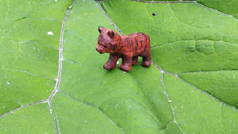 Le tigre vu sous un autre angle