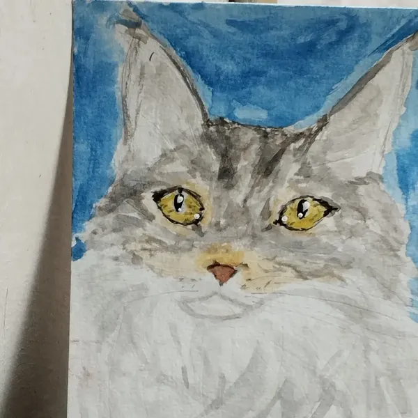 Portrait à l'aquarelle de tabata, Maine coon grise et blanche 