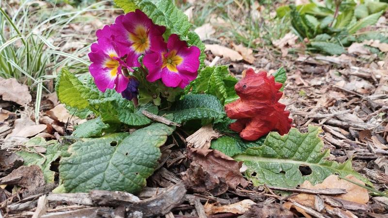 Dino à côté d'une primevère