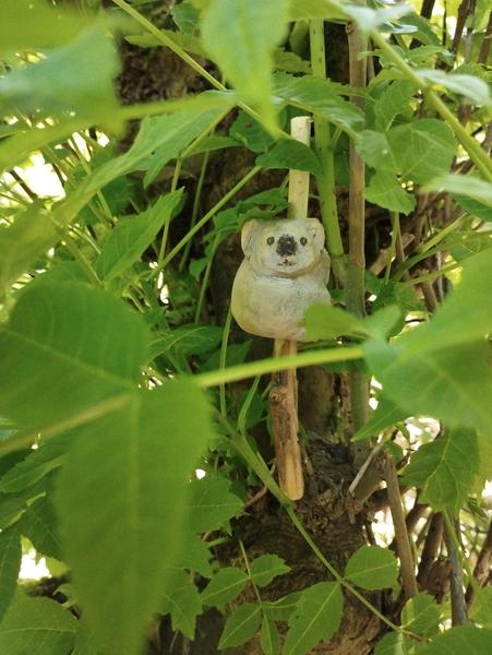photo d'un koala en bois accroché à son arbre au milieu de végétation