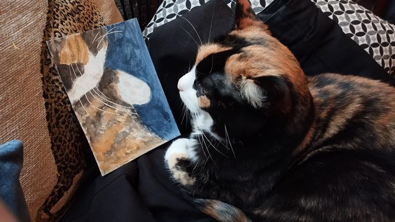 Une chatte tricolore qui regarde son portrait 