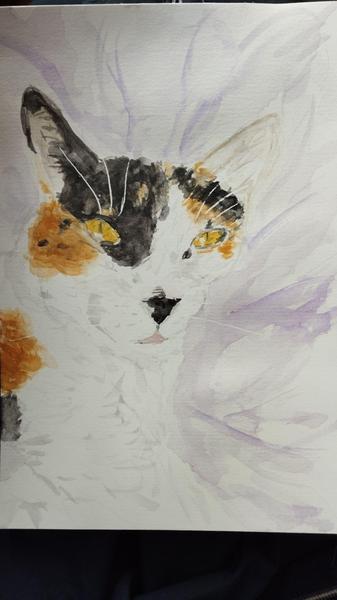 Aquarelle d'une chatte tricolore qui fait une grimace