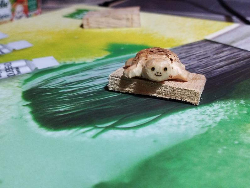 Une petite tortue en bois