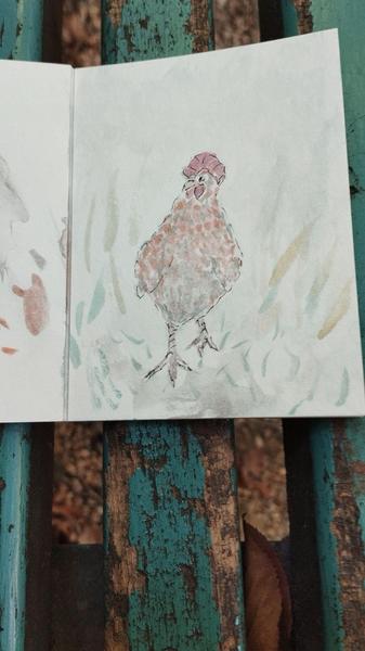 Aquarelle d'un coq vu de face