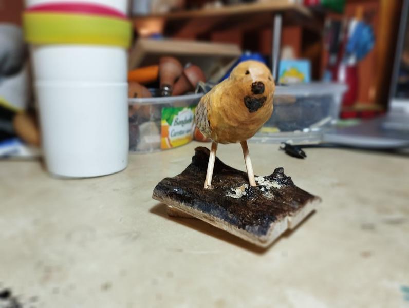 Un oiseau en bois, un genre de passereauIl a un cœur sous le bec 