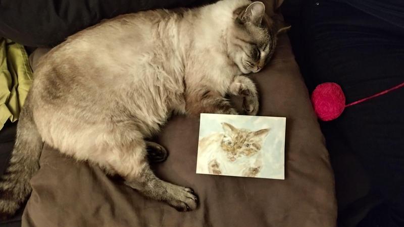 L'aquarelle à côté du chat qui dort