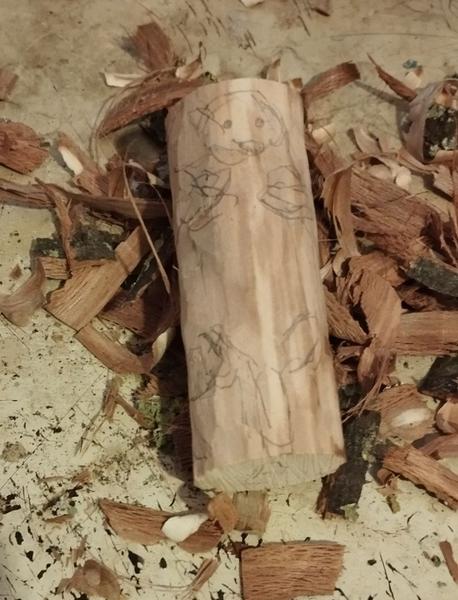 Le même morceau sans écorce, une esquisse de loutre est dessinée dessusLe crayon gris a laissé sa place à des copeaux