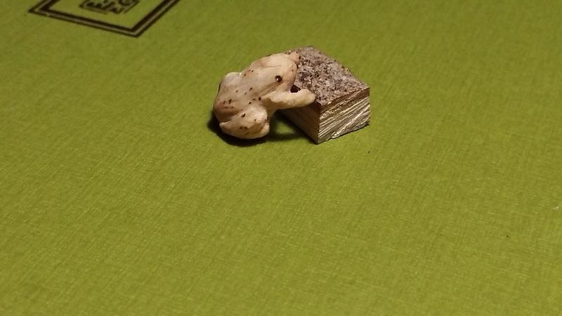 La grenouille qui monte sur le morceau de bois 