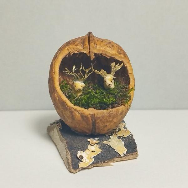 Deux mini cerfs en bois dans une coque de noixLes cerfs sont sur un tapis de mousse. Leurs bois sont faits avec du lichen