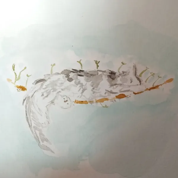 Aquarelle d'une main coon grise qui dort sur un pont de singe 