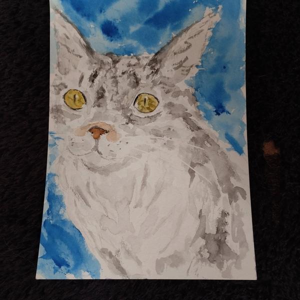 Aquarelle d'une Maine coon grise 