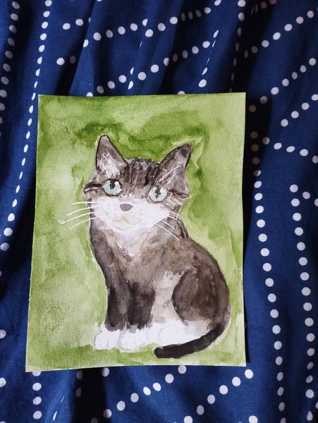 Aquarelle d'un chaton, robe snow shoe (patte blanche, corps café/noir) 
