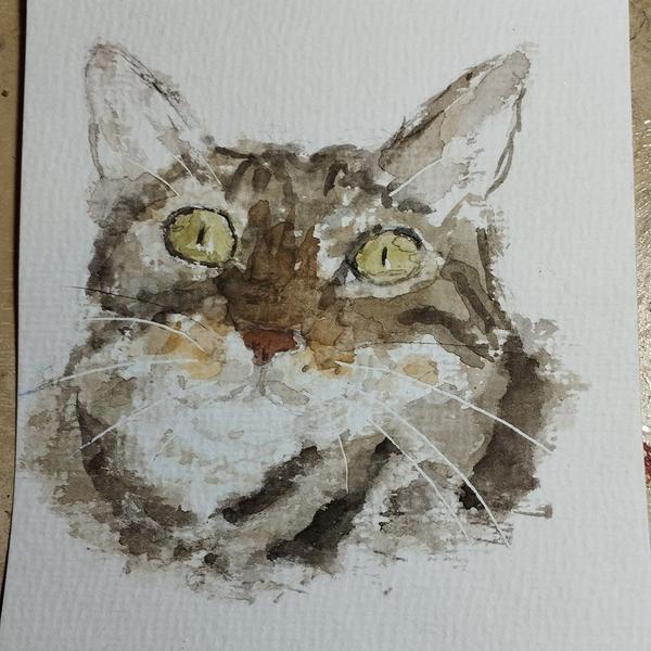 Aquarelle d'un chat tigré
