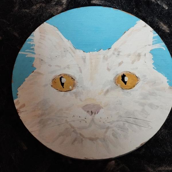 Portrait du Maine coon sur rond de bois 