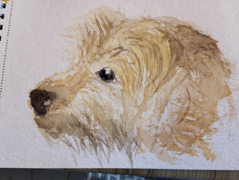 Aquarelle du chien berger des Pyrénées 