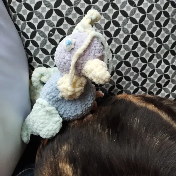 Perroquet au crochet posé sur un dos de chat