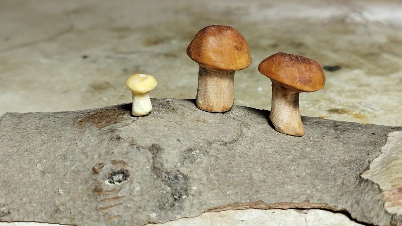 Trois petits champignons en bois