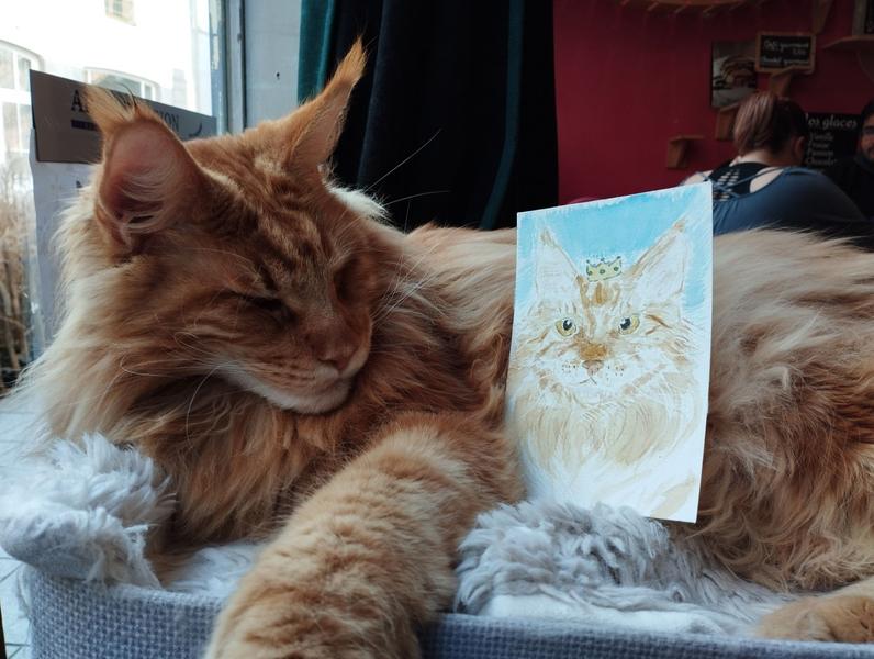 Photo de tyson qui dort, le portrait posé sur son ventre 