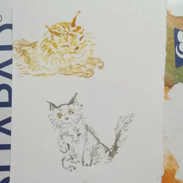 Deux mini aquarelles de maine coons