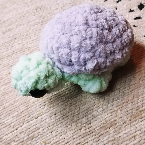 Autre vue de la tortue