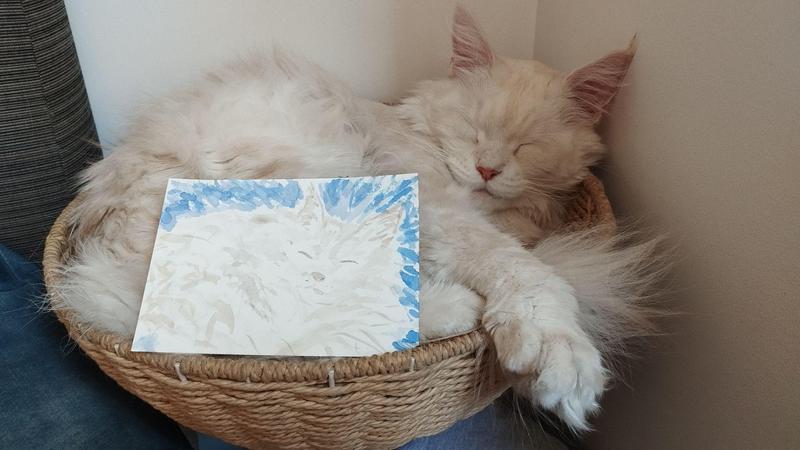 Un maine coon blanc et beige qui dort dans un panier. Une aquarelle le représentant est posée sur lui