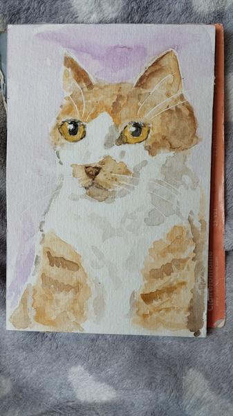 Aquarelle d'Ulys, chaton roux et blanc 