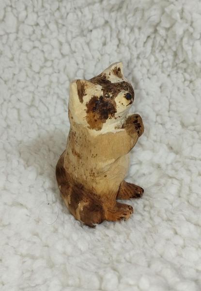 Autre angle de vue du raton laveur