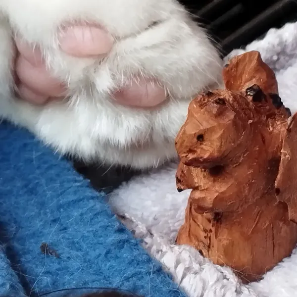 Sculpture de dragon devant une patte de chat blanche aux coussinets roses