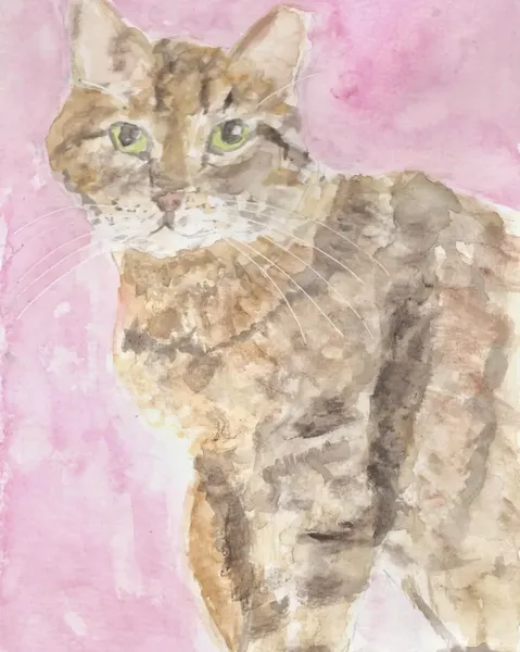 Aquarelle d'un chat tigré 