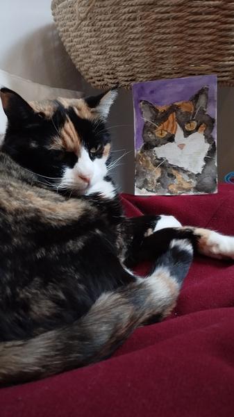 Photo d'une chatte tricolore et son portrait en aquarelle 
