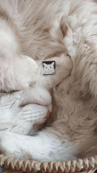 Un maine coon blanc et beige qui dort en boule. Au milieu, son mini portrait peint sur un carré de mosaïque
