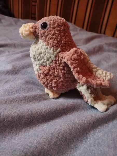 L'oiseau de profil
