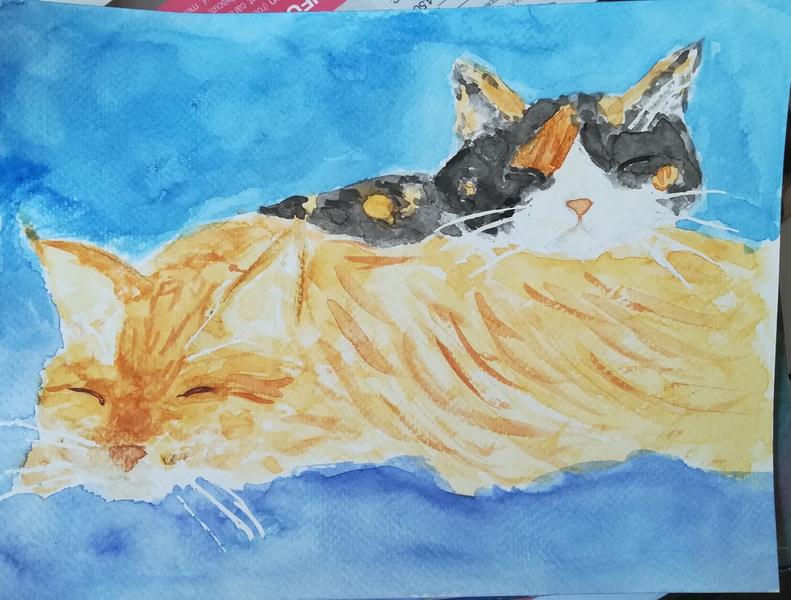 Aquarelle d'une chatte tricolore qui dort la tête posée sur un chat roux 