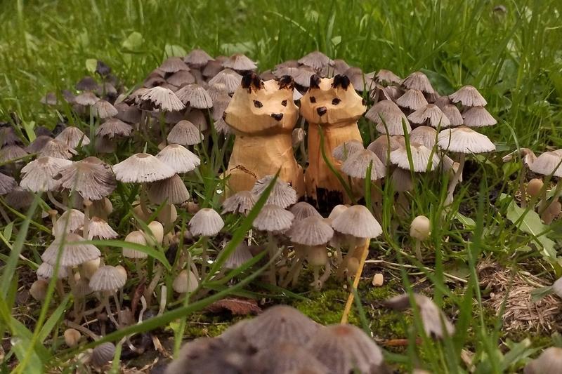 Deux renards en bois au milieu de champignons gris.